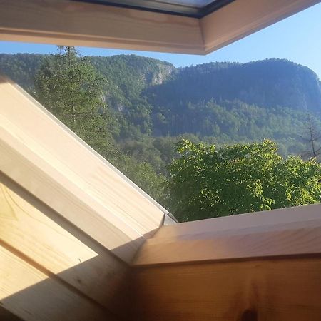Apartma Nina Bohinj Exteriér fotografie