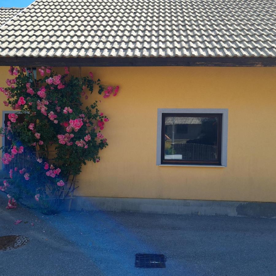 Apartma Nina Bohinj Exteriér fotografie